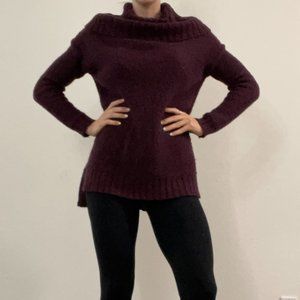 Women's Turtleneck Dress (Maroon)